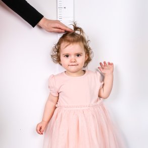 Højdemåler Dannebrog